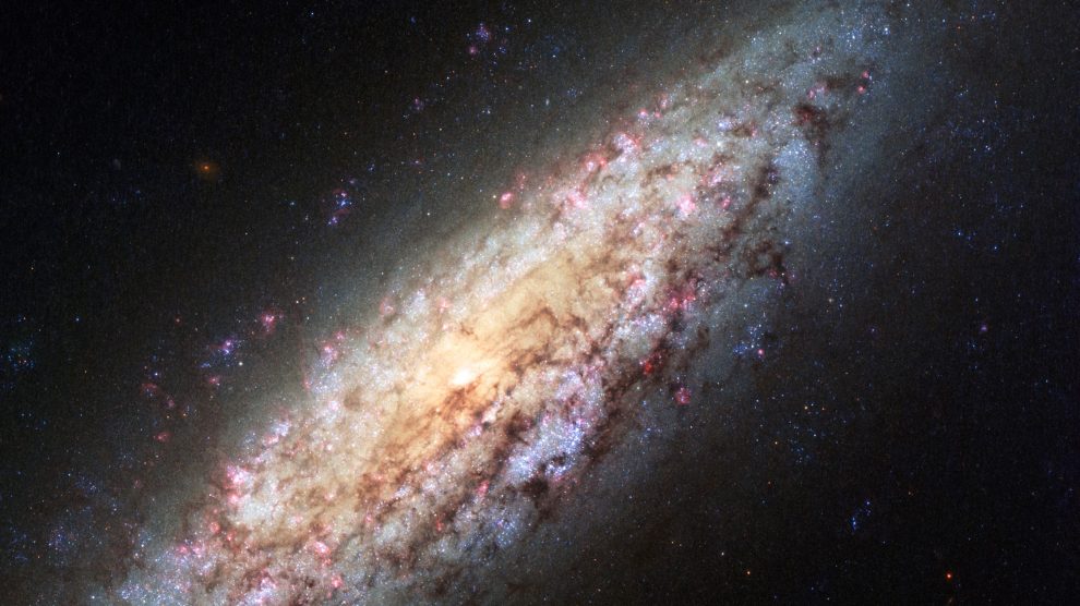 کهکشان مارپیچی NGC 6503