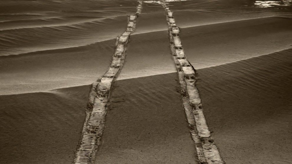 Opportunity